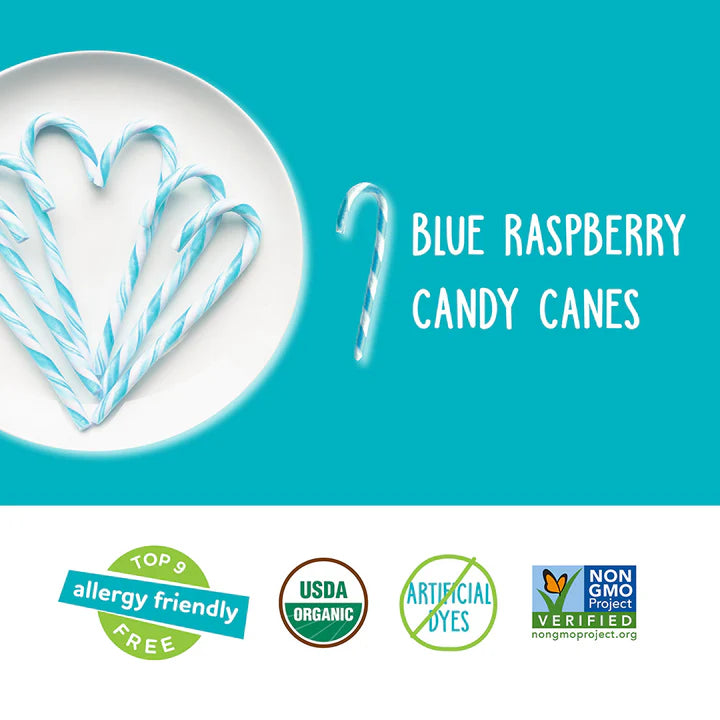 Yum Earth Organic Blue Raspberry Candy Canes 10ct – Something Better ...